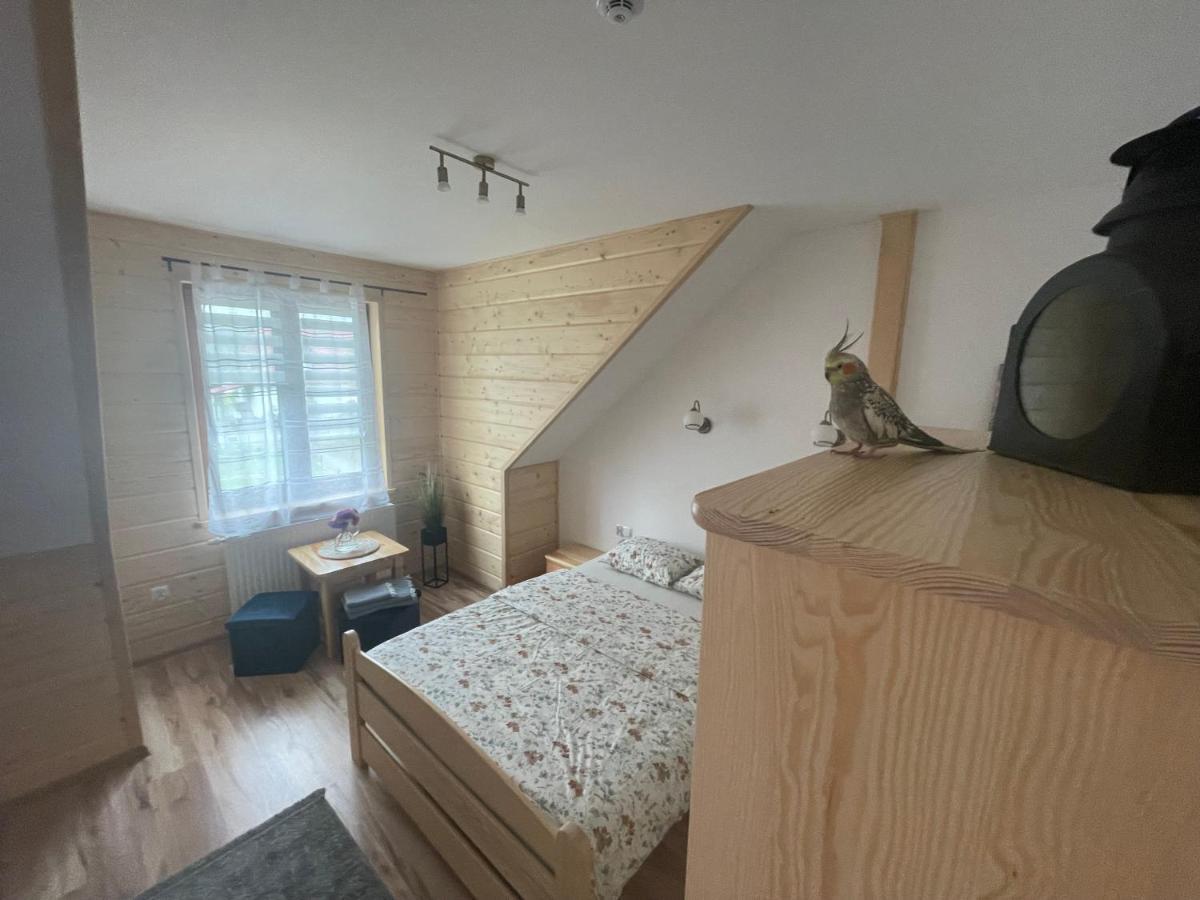 Kolejowy Smolnik Apartment Smolnik  Екстериор снимка